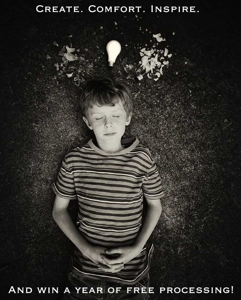 Comfort in Uncertain Times Photo Contest