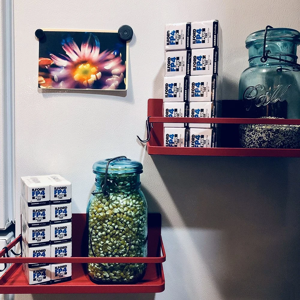 Film Friday - April 25th, 2025.  Ilford FP4 Plus Film Review