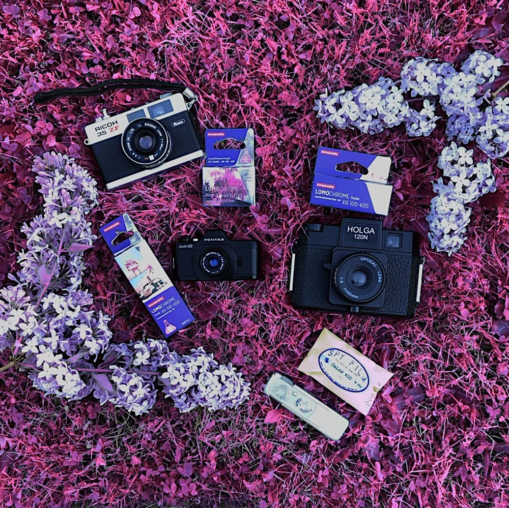Film Friday - May 2nd, 2025. Lomography Lomochrome Purple Film Review