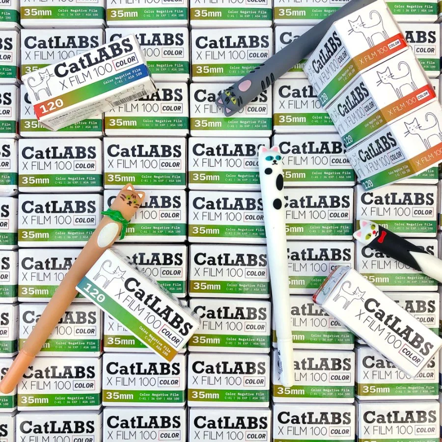 Film Friday - November 22nd, 2024. CatLABS X Film 100 Color Film Review