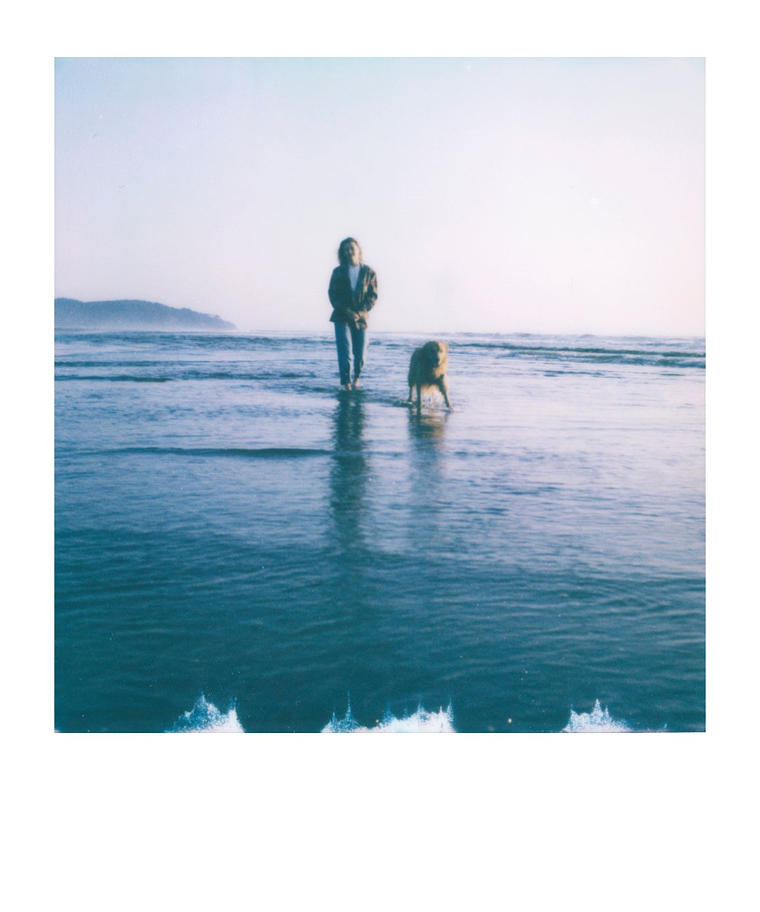 Film Friday - March 10th, 2023. Polaroid SX-70 Color and B&W — The Codex