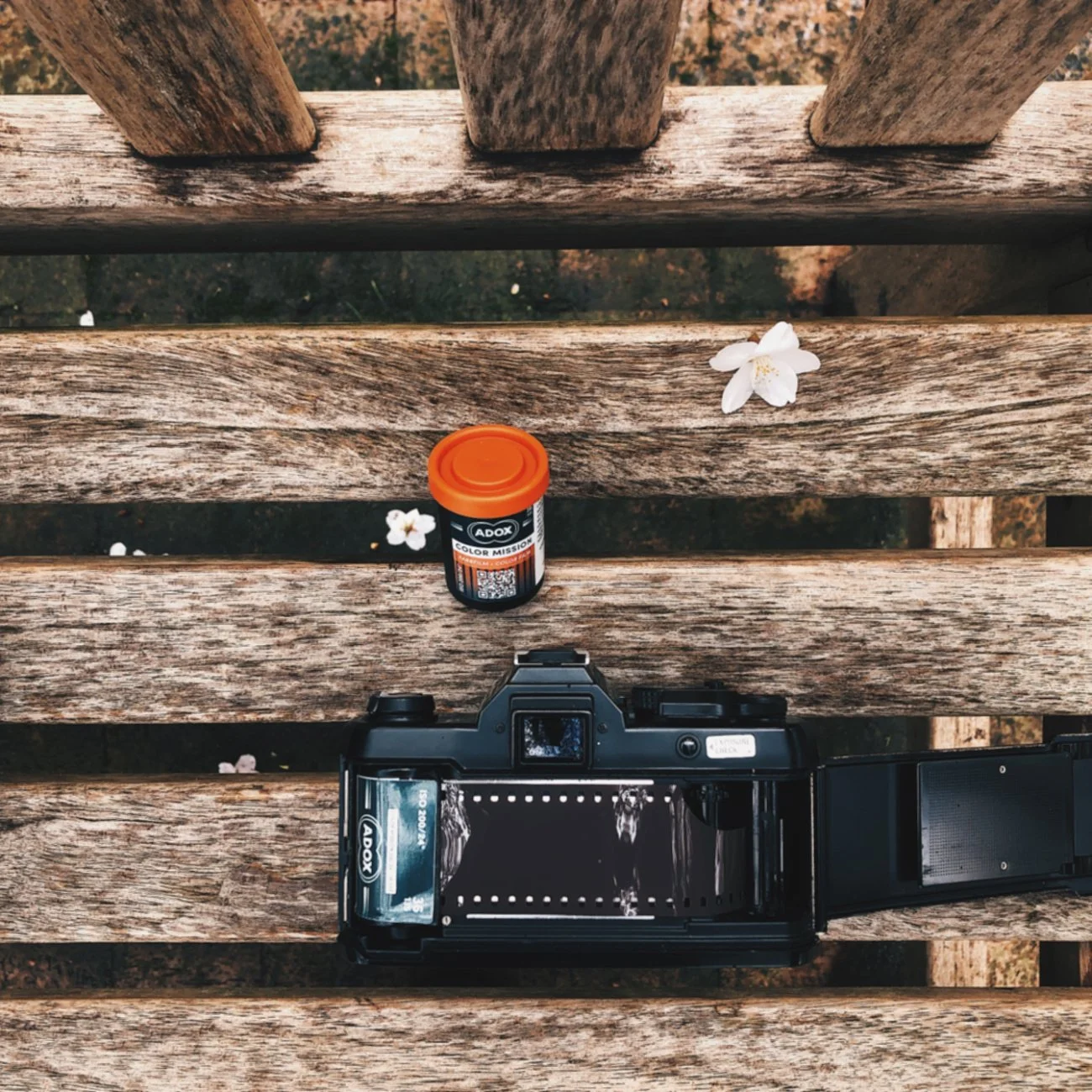Adox Color Mission Film Review — The Codex