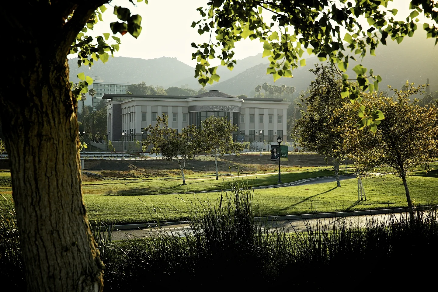 From the University Entrance