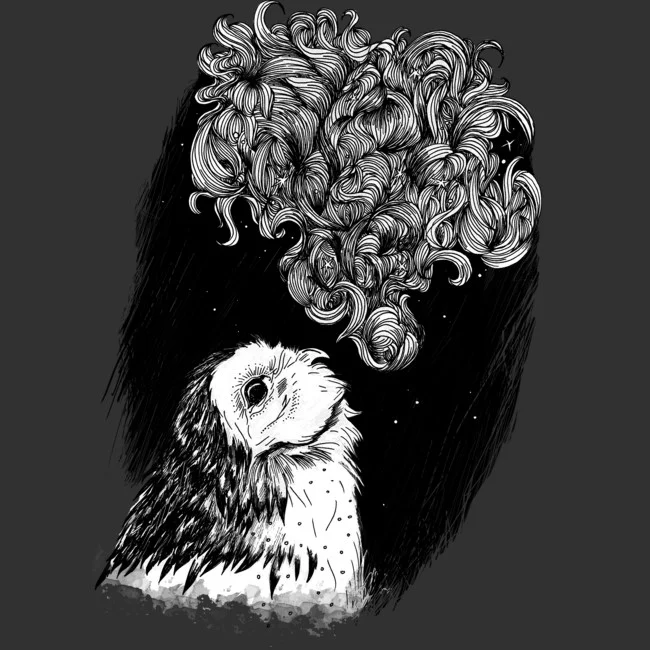 owl with feathers