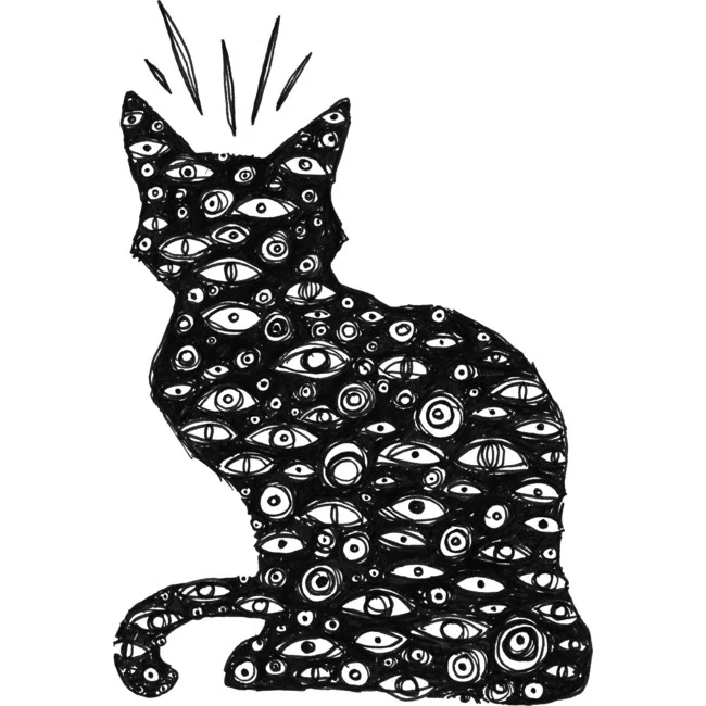 cat with eye collages