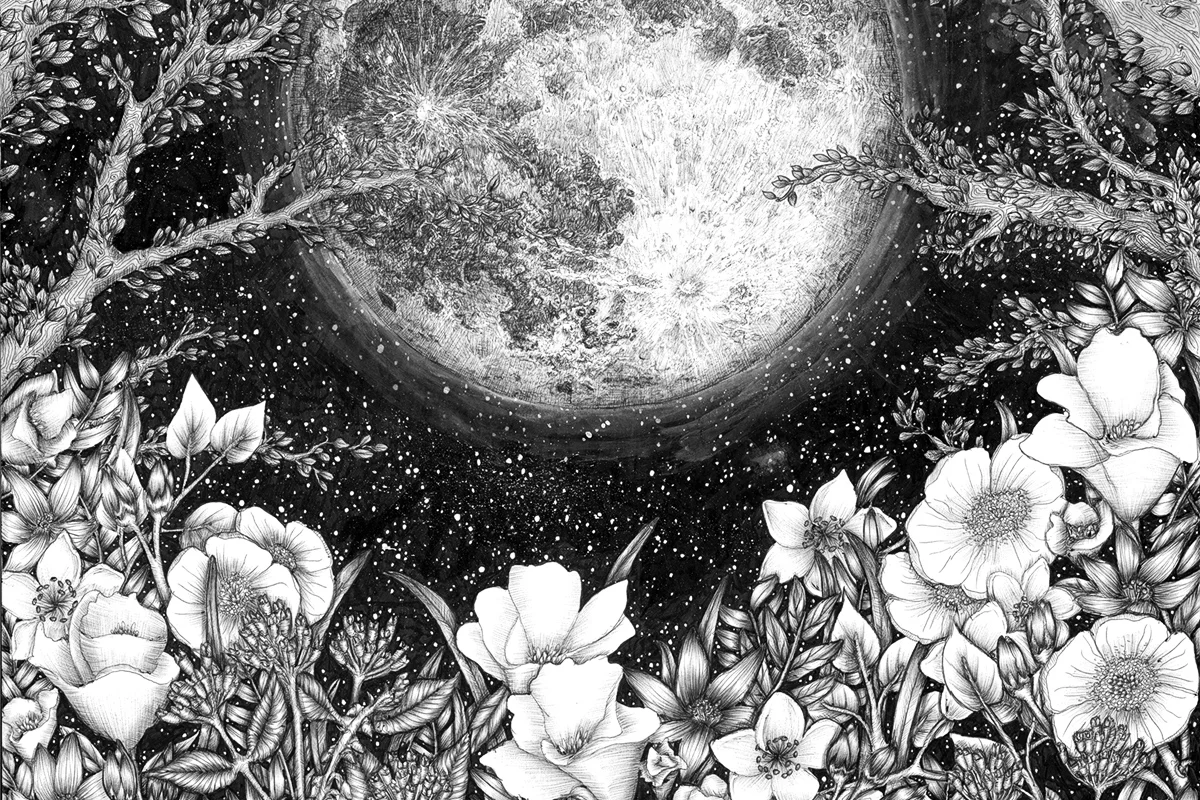 Featured Artist: ECMazur