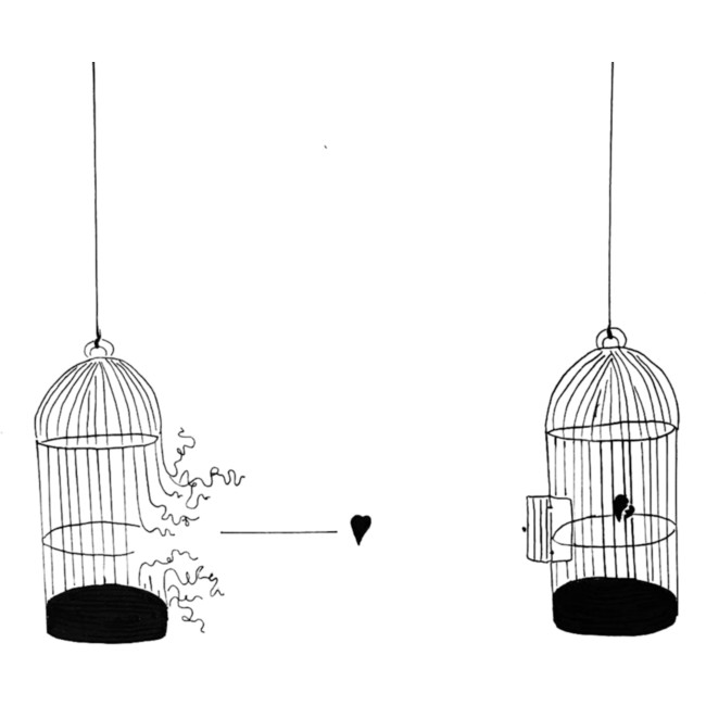 bird cages