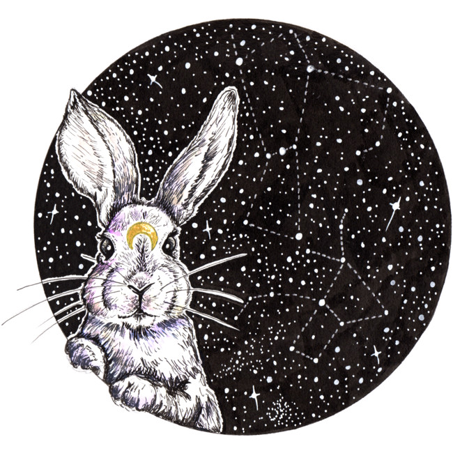 space rabbit