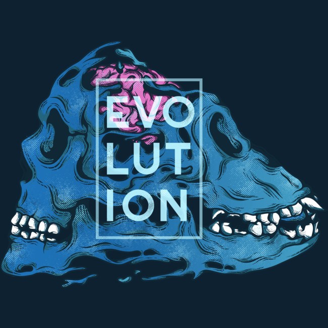 evolution monkey skull