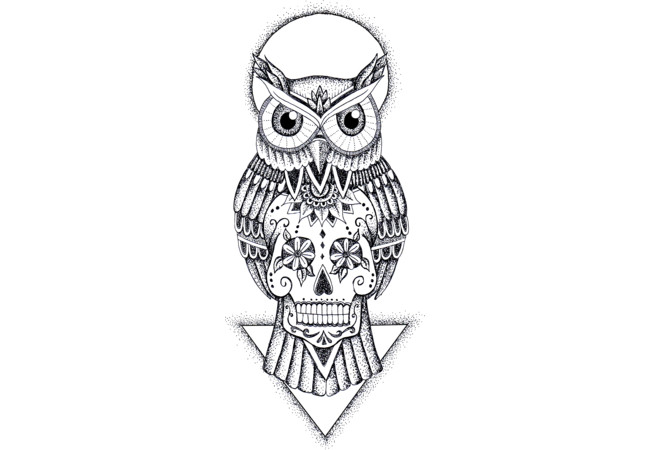 owl