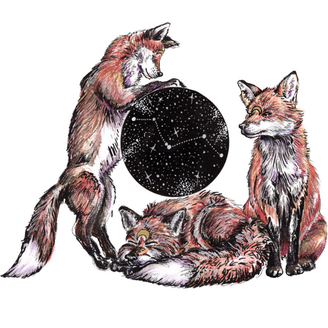 foxes playing with ball made of stars