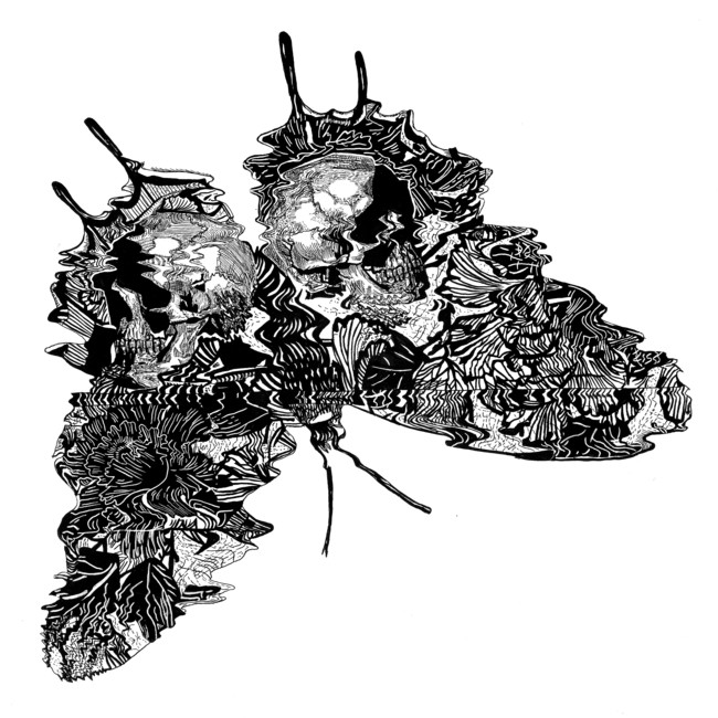 butterfly shaped by skulls