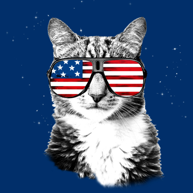cat wearing american flag sunglasses