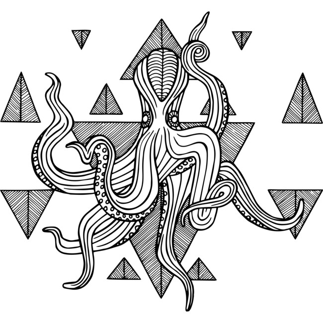 geometric octopus