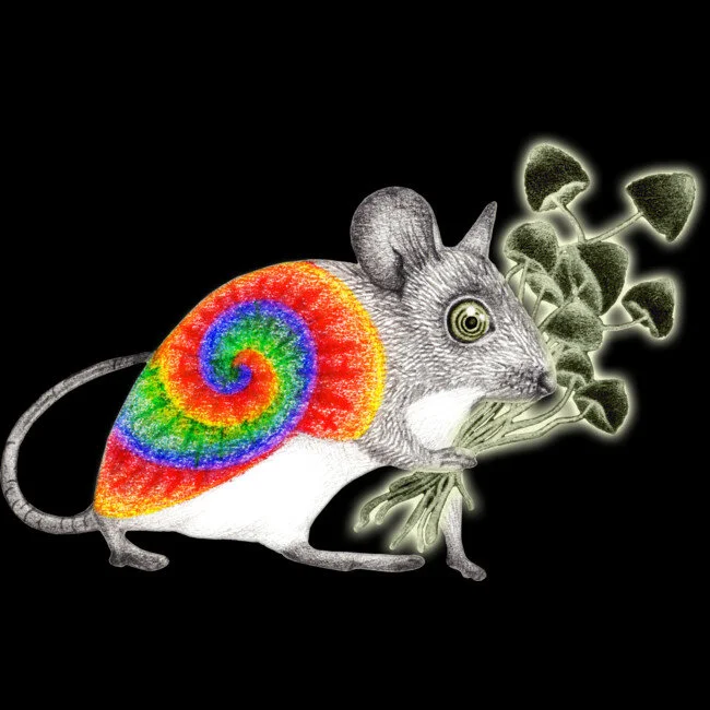 Featured Artist: Perrinlefeuvre