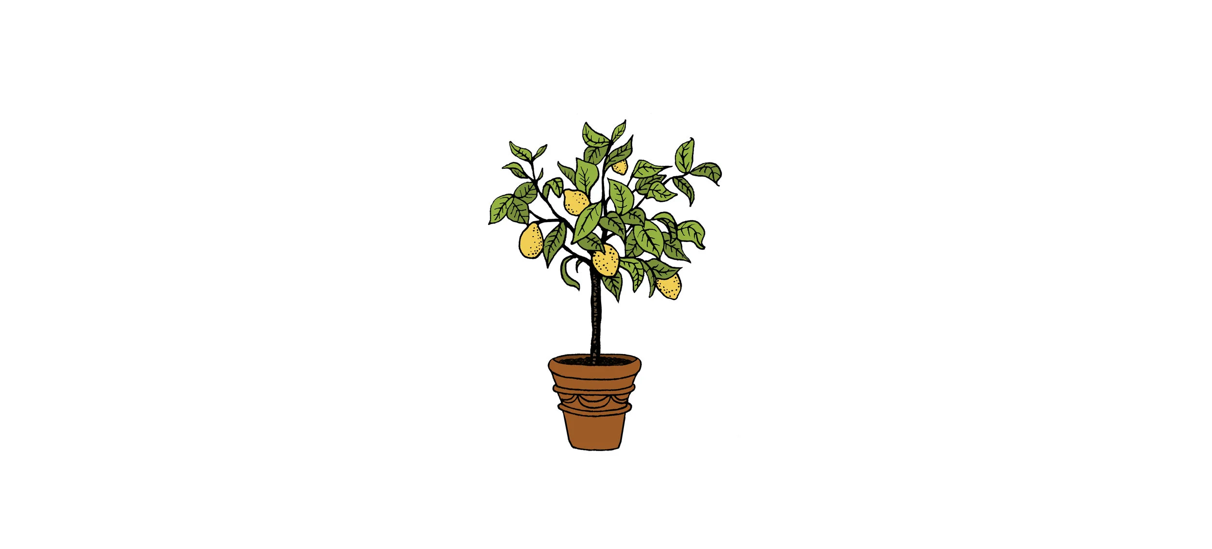 lemtreebigwhitespace.jpg