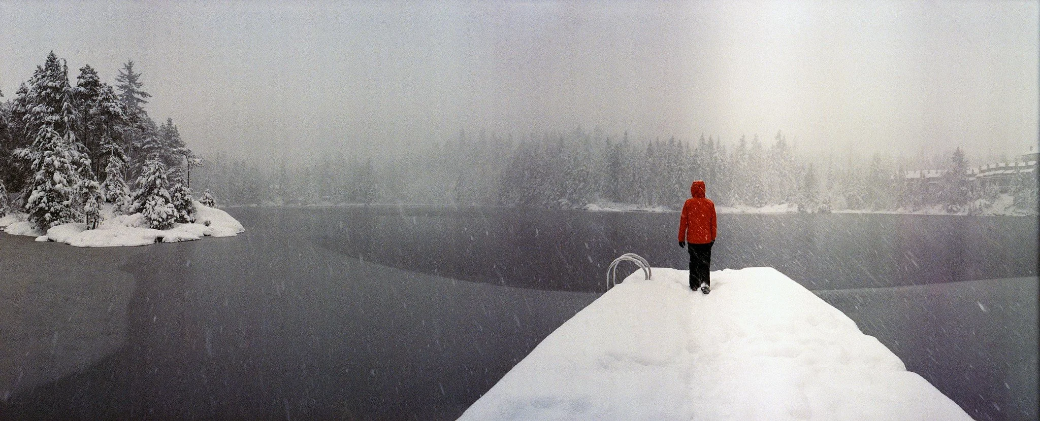 55022269300_46c338f7e8_k.jpg
