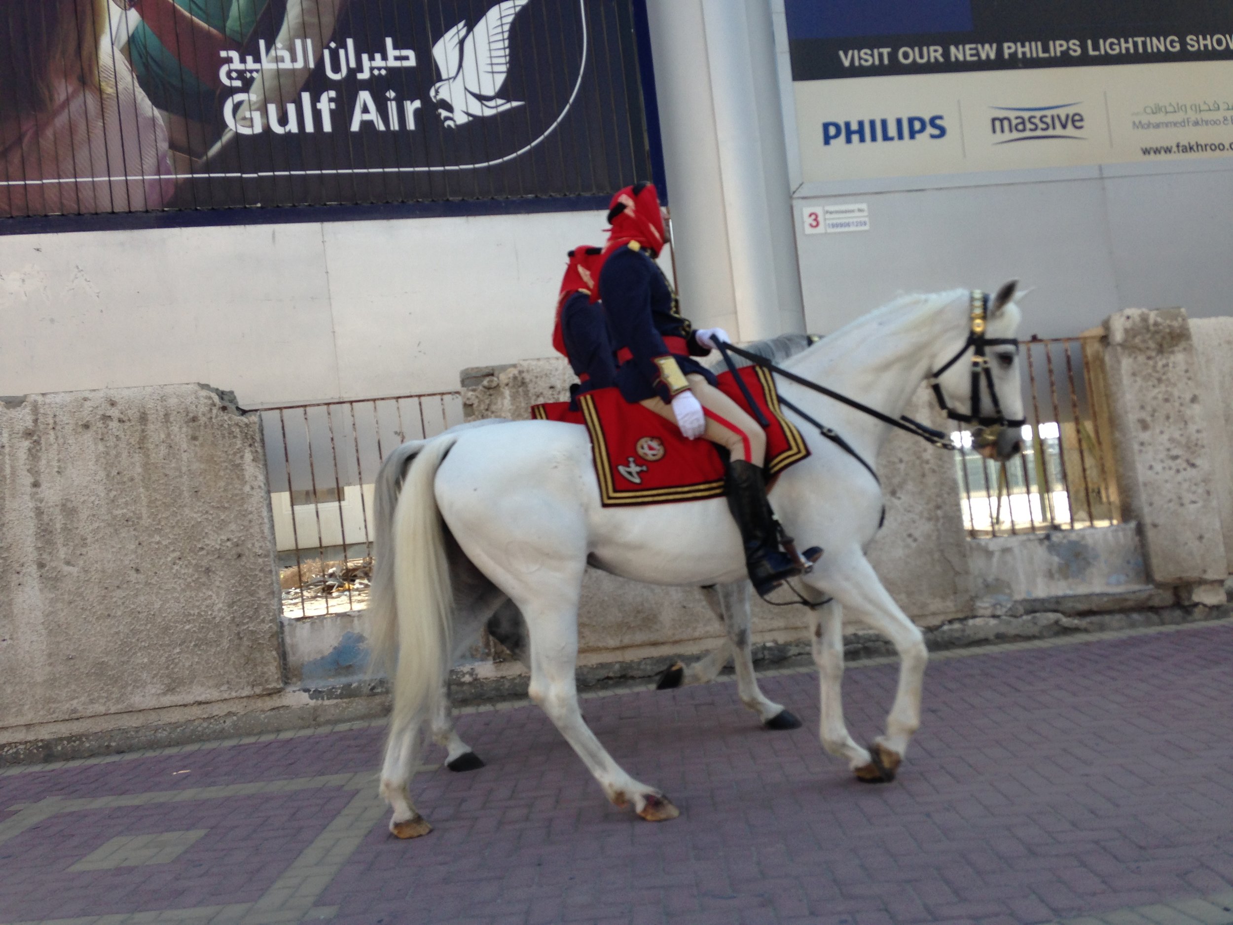 Guards by the palace
