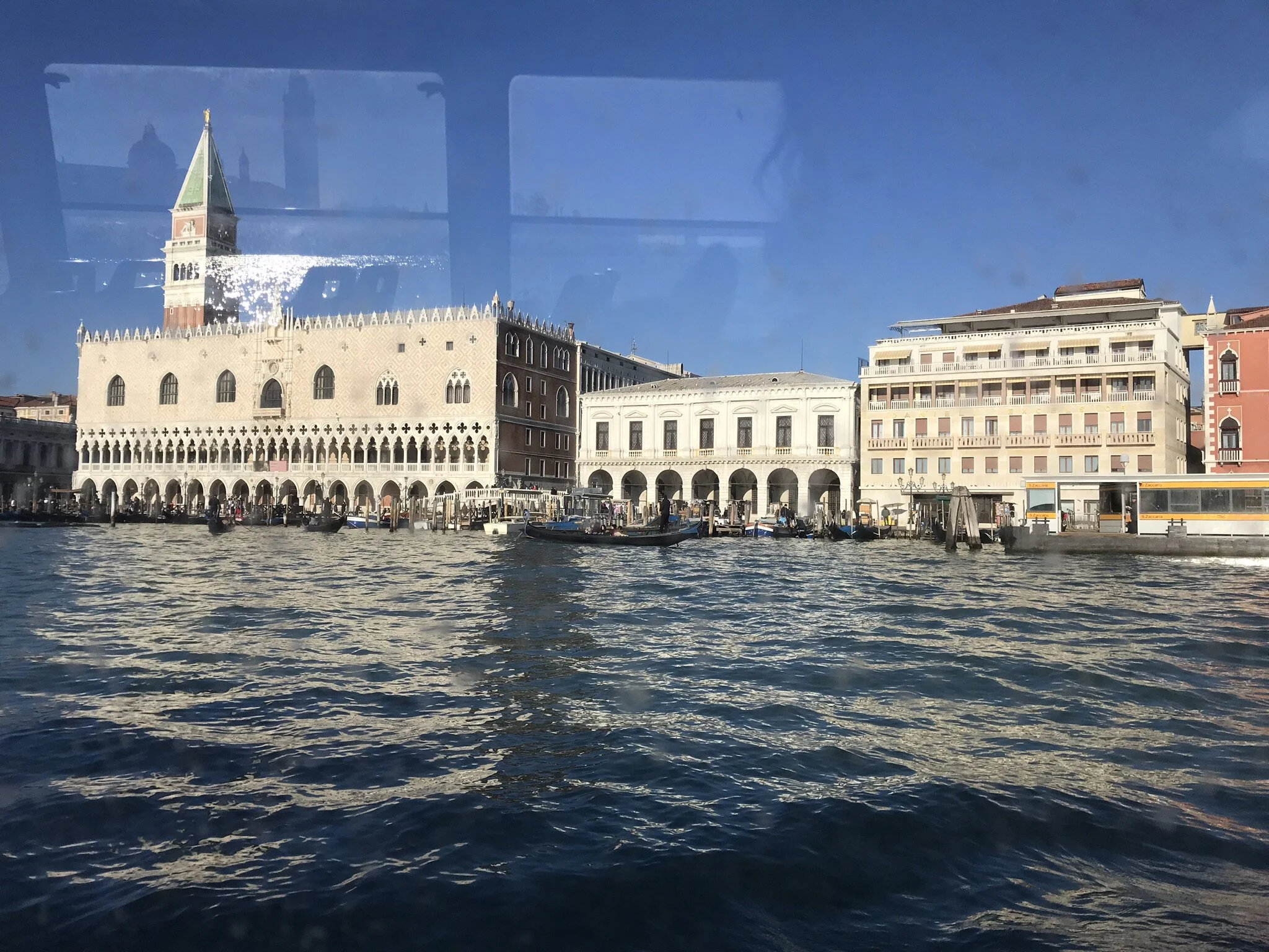 IMG_4222.JPEG
