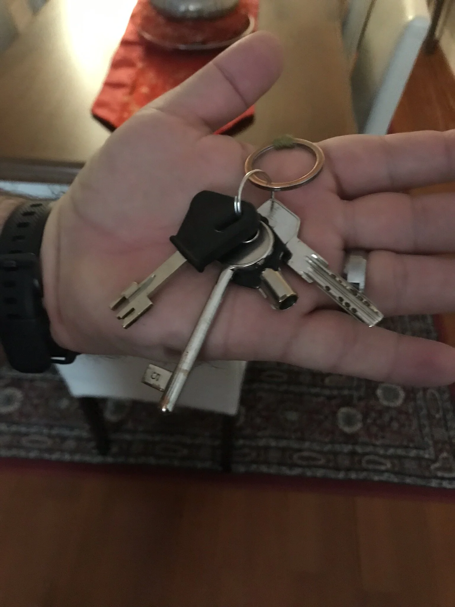 IMG_4255 - Copy.JPEG