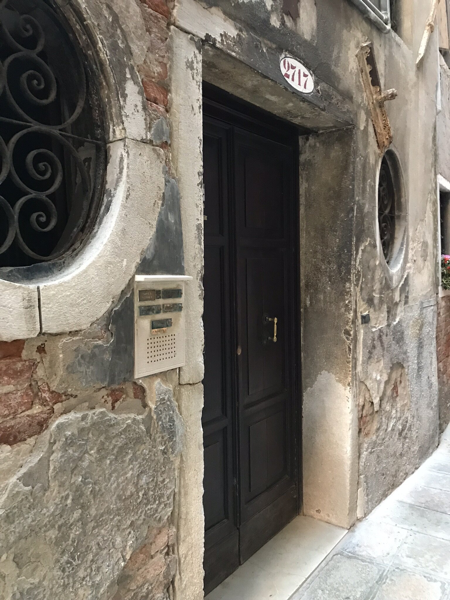 IMG_4330.JPEG