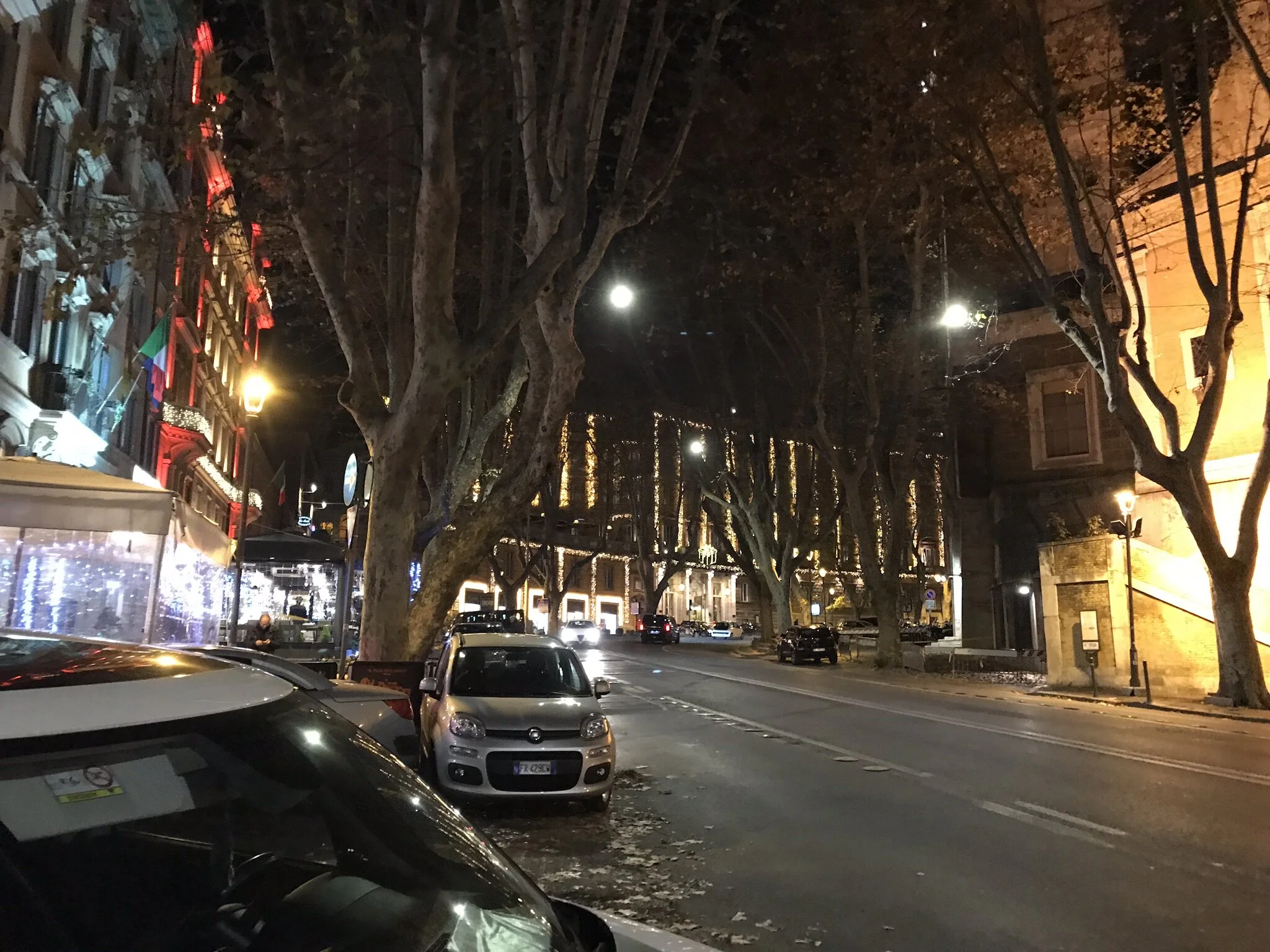 IMG_4530 - Copy.JPEG