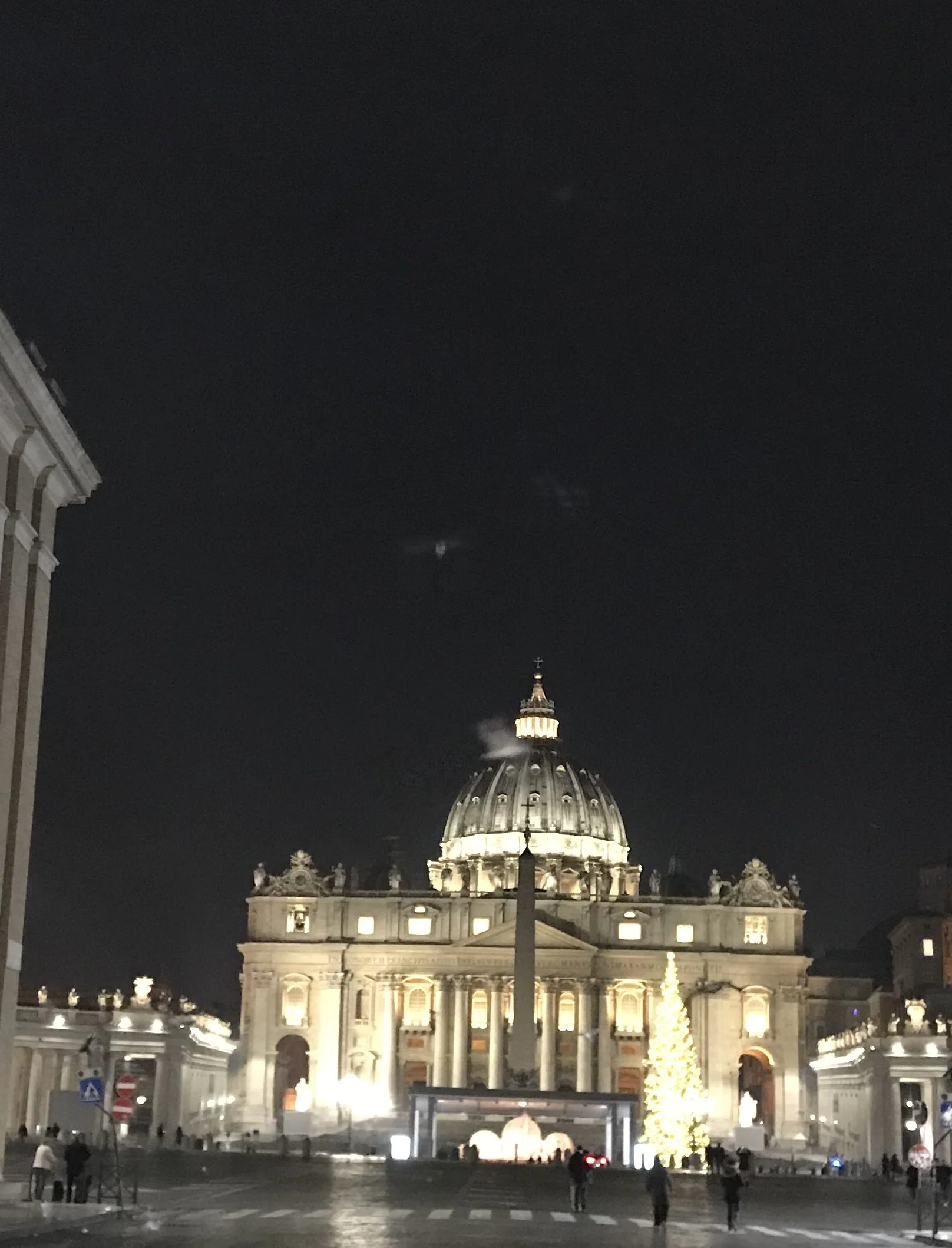 IMG_4554 - Copy.JPEG