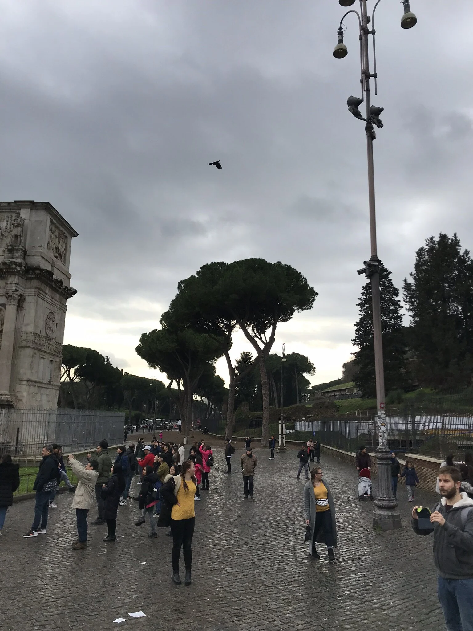 IMG_4612 - Copy.JPEG