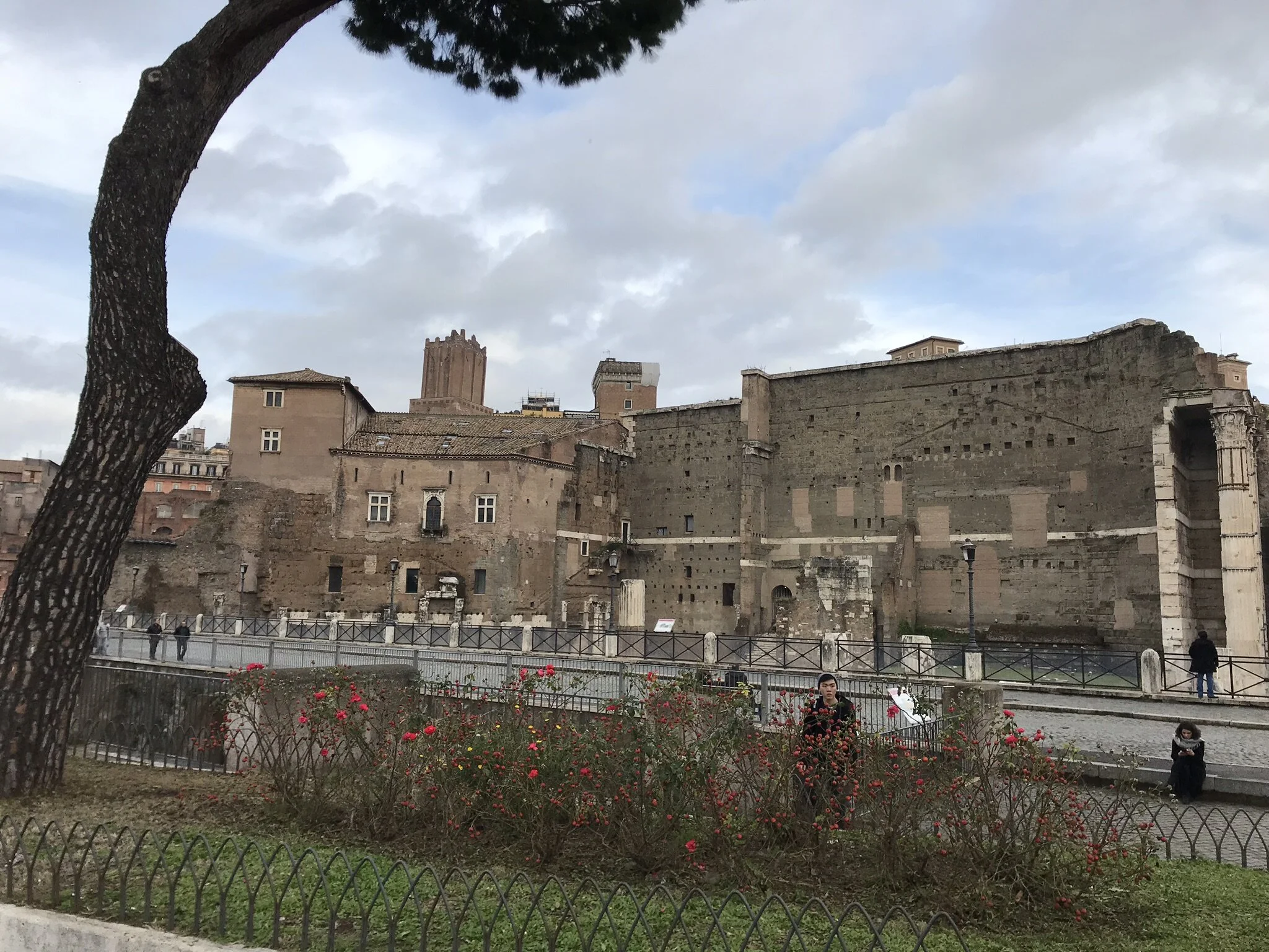 IMG_4642 - Copy.JPEG