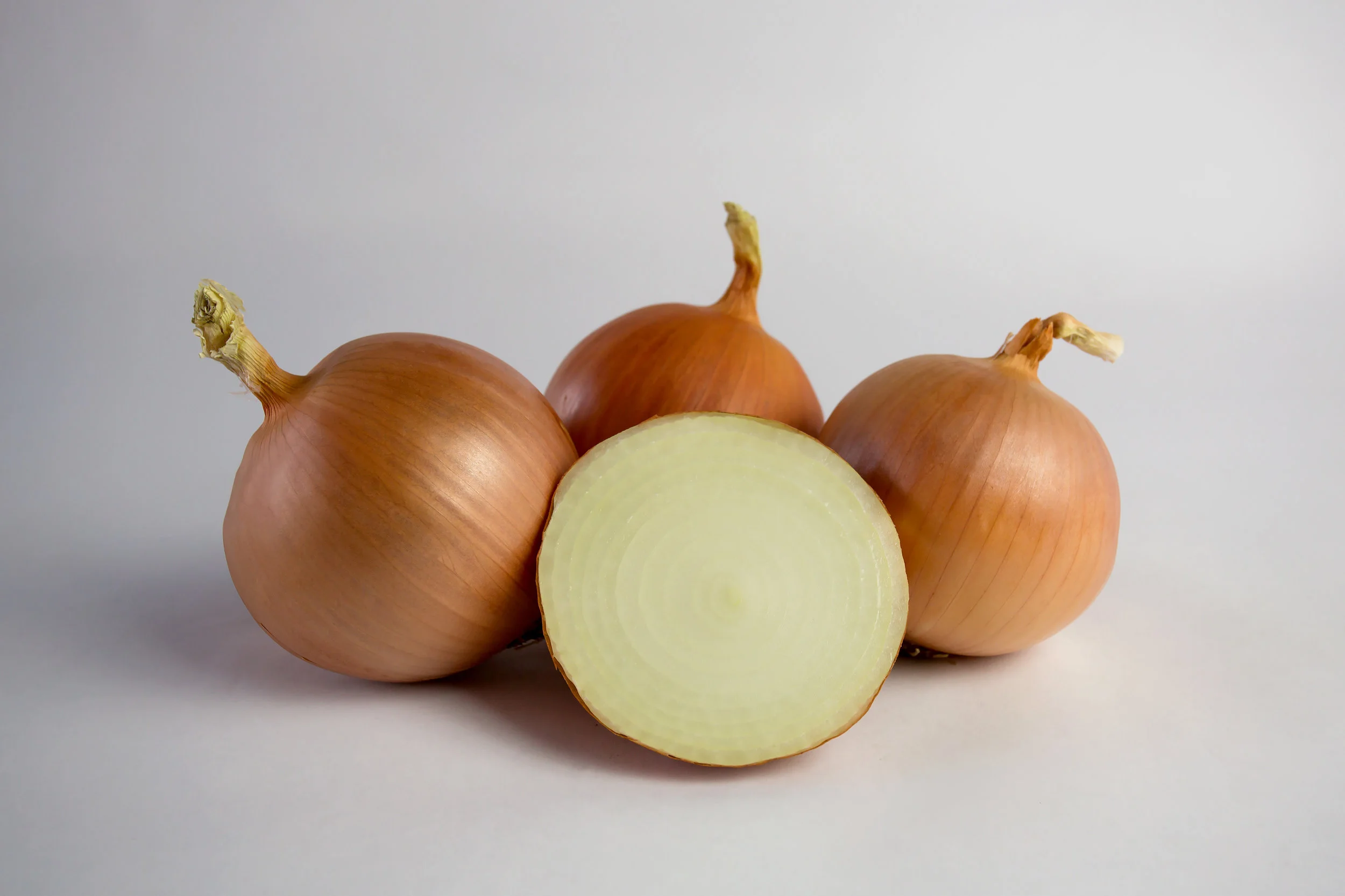 Arcero sliced.jpg