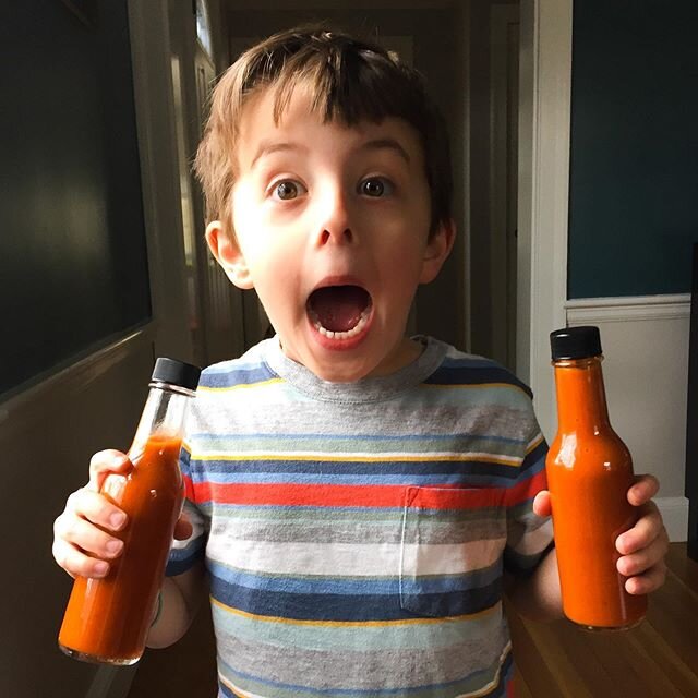 Bummed that we&rsquo;d run out of the last batch, Cal insisted on making a new batch of chipotle taco sauce with me. Tons of smokiness and just enough heat. He&rsquo;s obsessed. This is his hot sauce face. 
#hotsauce #homemade #cookwithkids #chipotle