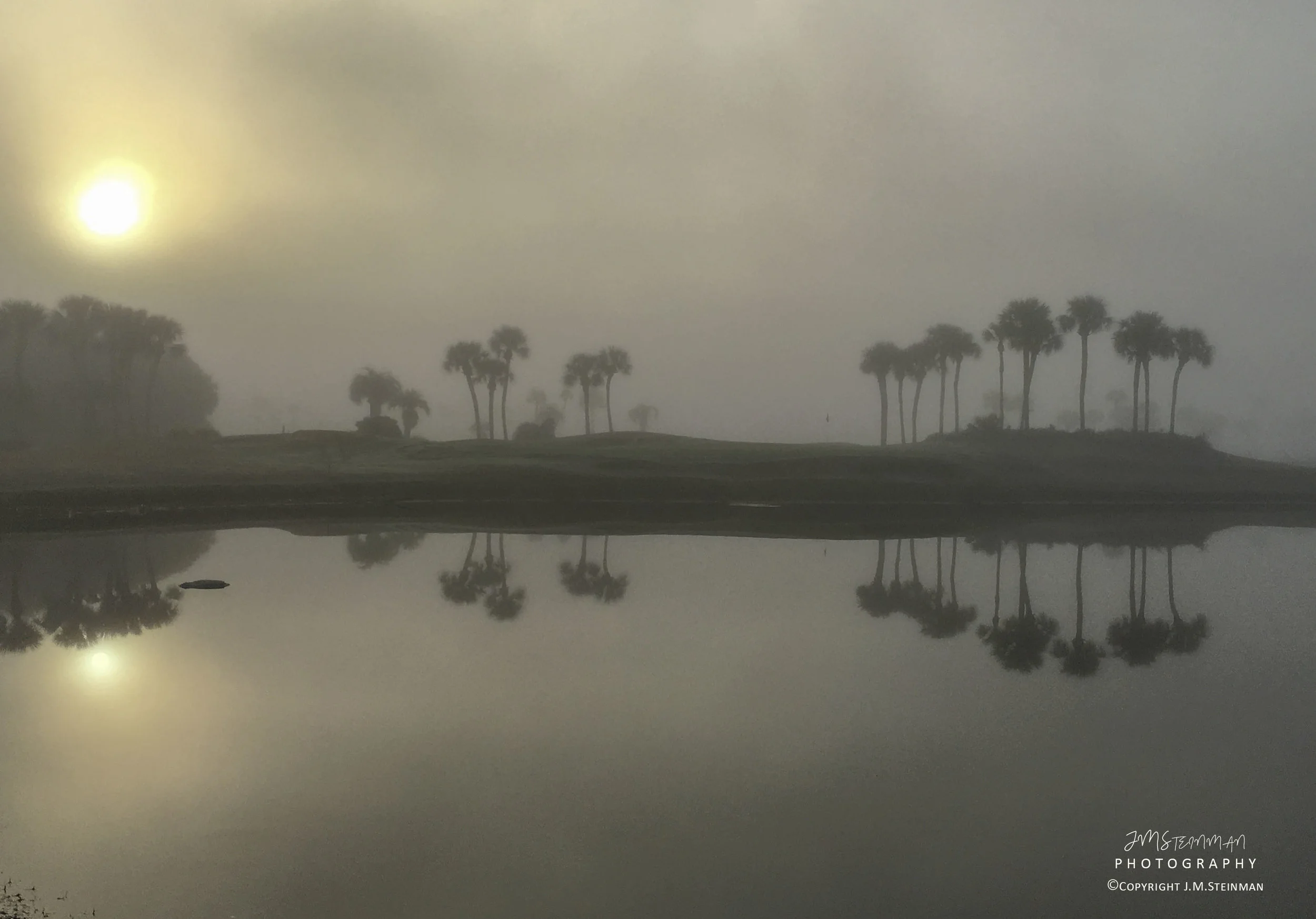 Serene Foggy Morning