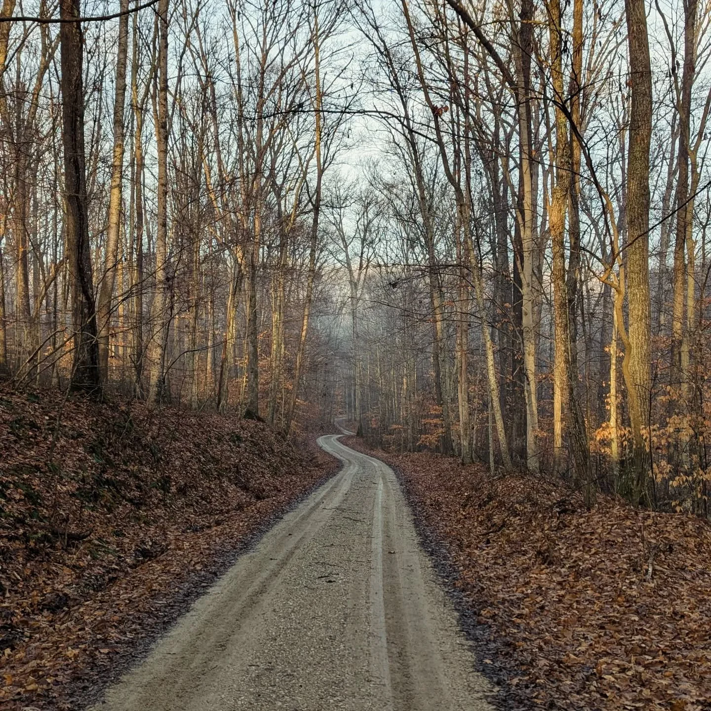 Hello all! Just a quick heads-up that Ghost Cat will be shutting down for good at the end of Feb. A huge thank you to anyone who has ever ordered a bag, told their friends or the internet about their bags, bought a hat or shirt or patch for themselve