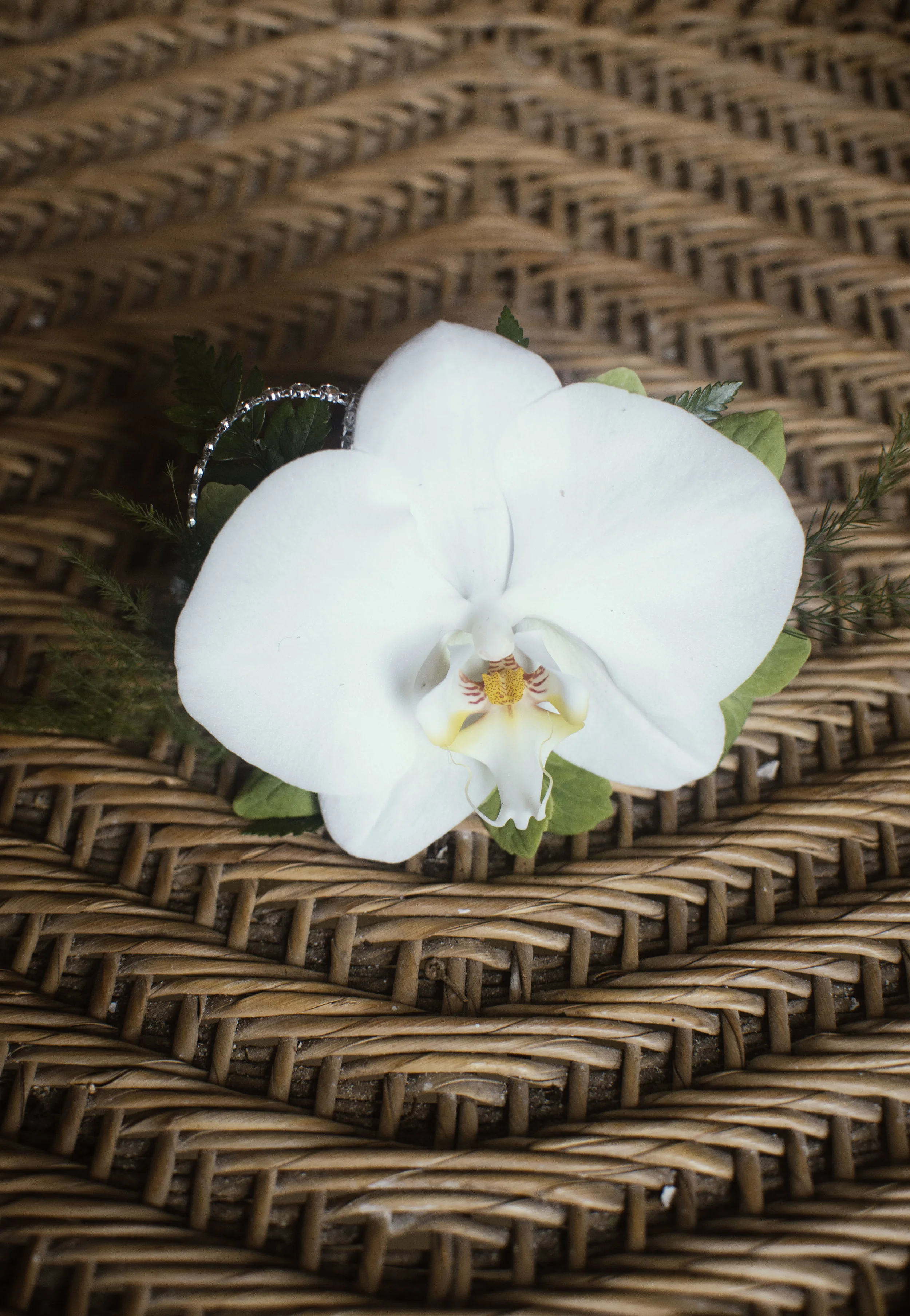 big phal corsages.jpg
