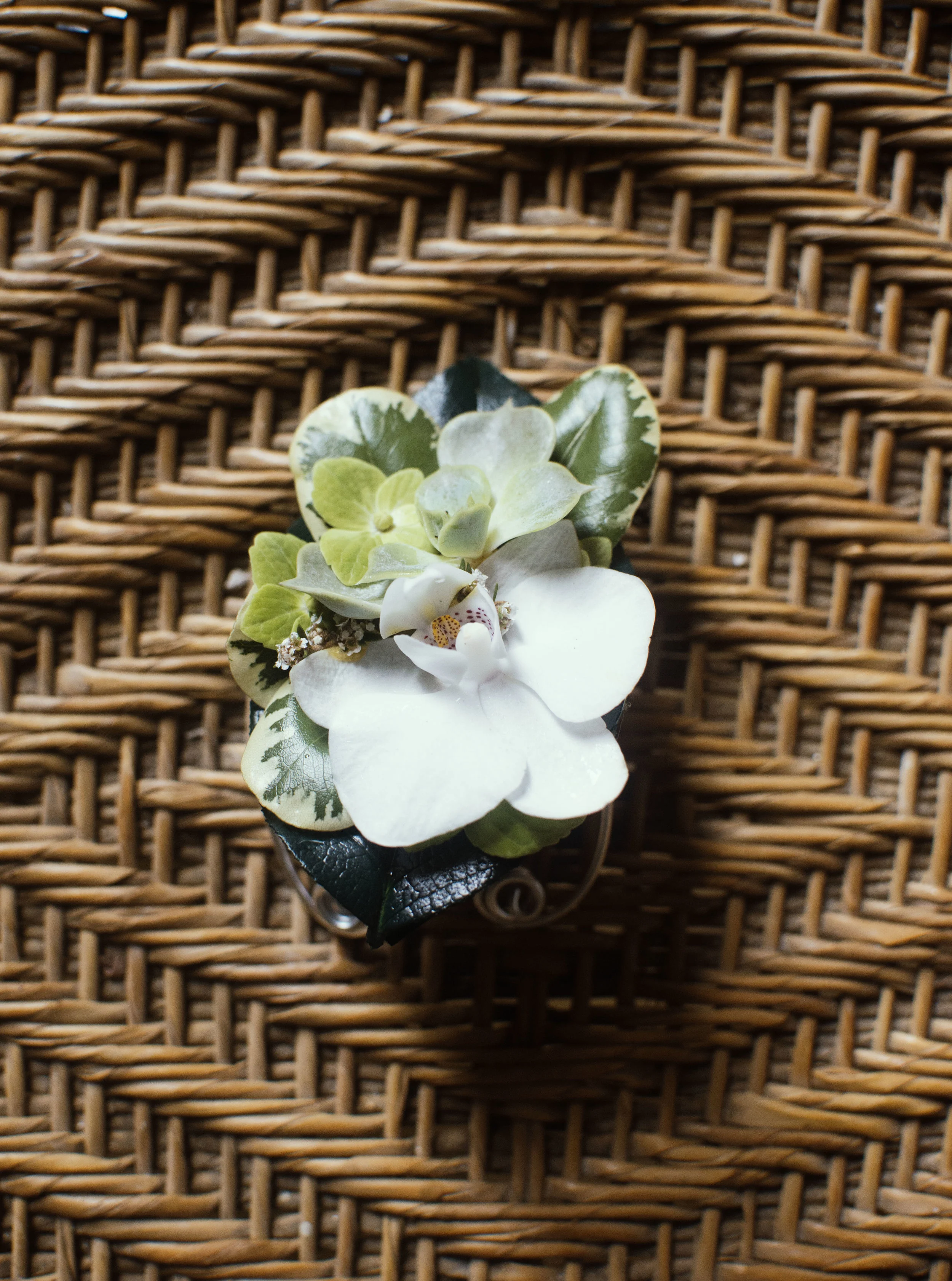 small white corsages.jpg