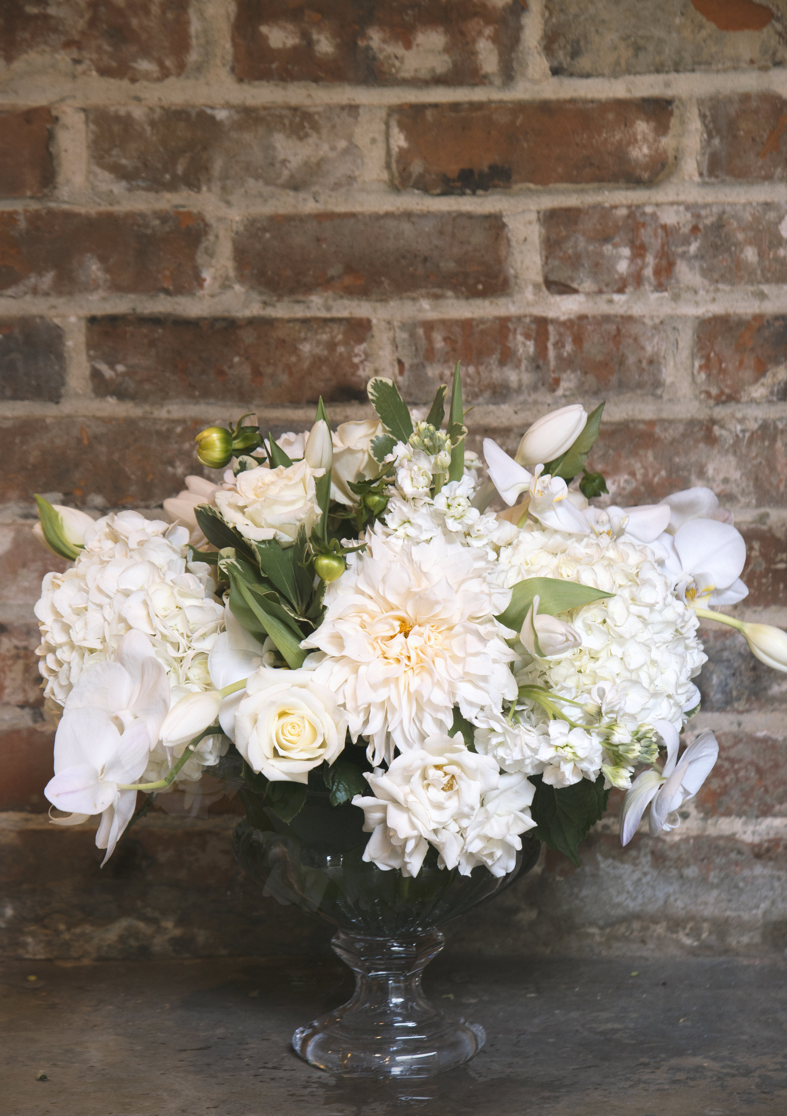 clooney mums white phals hydrangea and roses and sprays and mitchs flowers.jpg