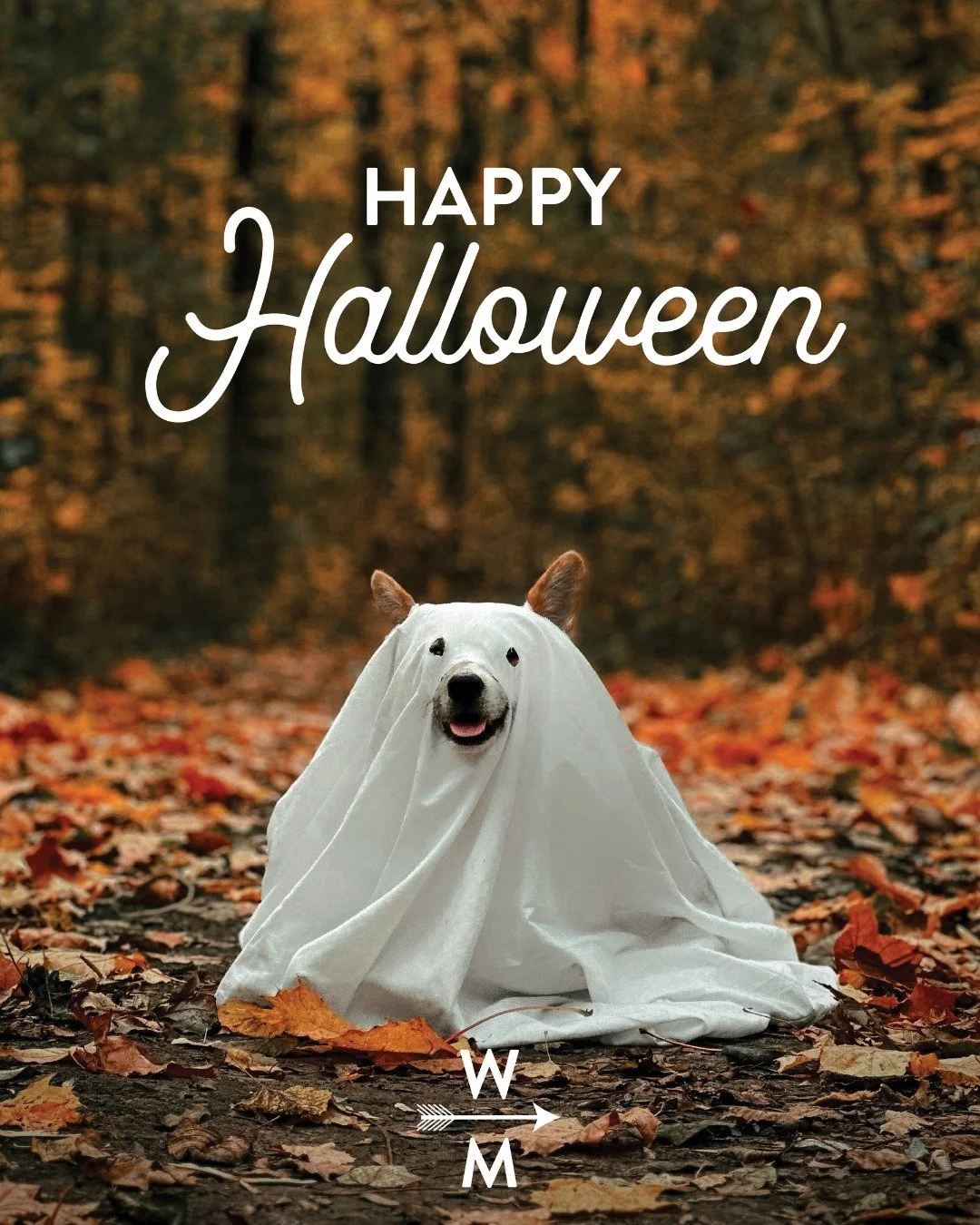 👻HAPPY HALLOWEEN👻

Heading out for some trick-or-treating fun tonight? Swipe to find the best neighborhoods in Denver for candy and decor! 

And don't forget to tag us in your pics! Kiddos, adults, doggos, cats - we want to see them all!

Info from