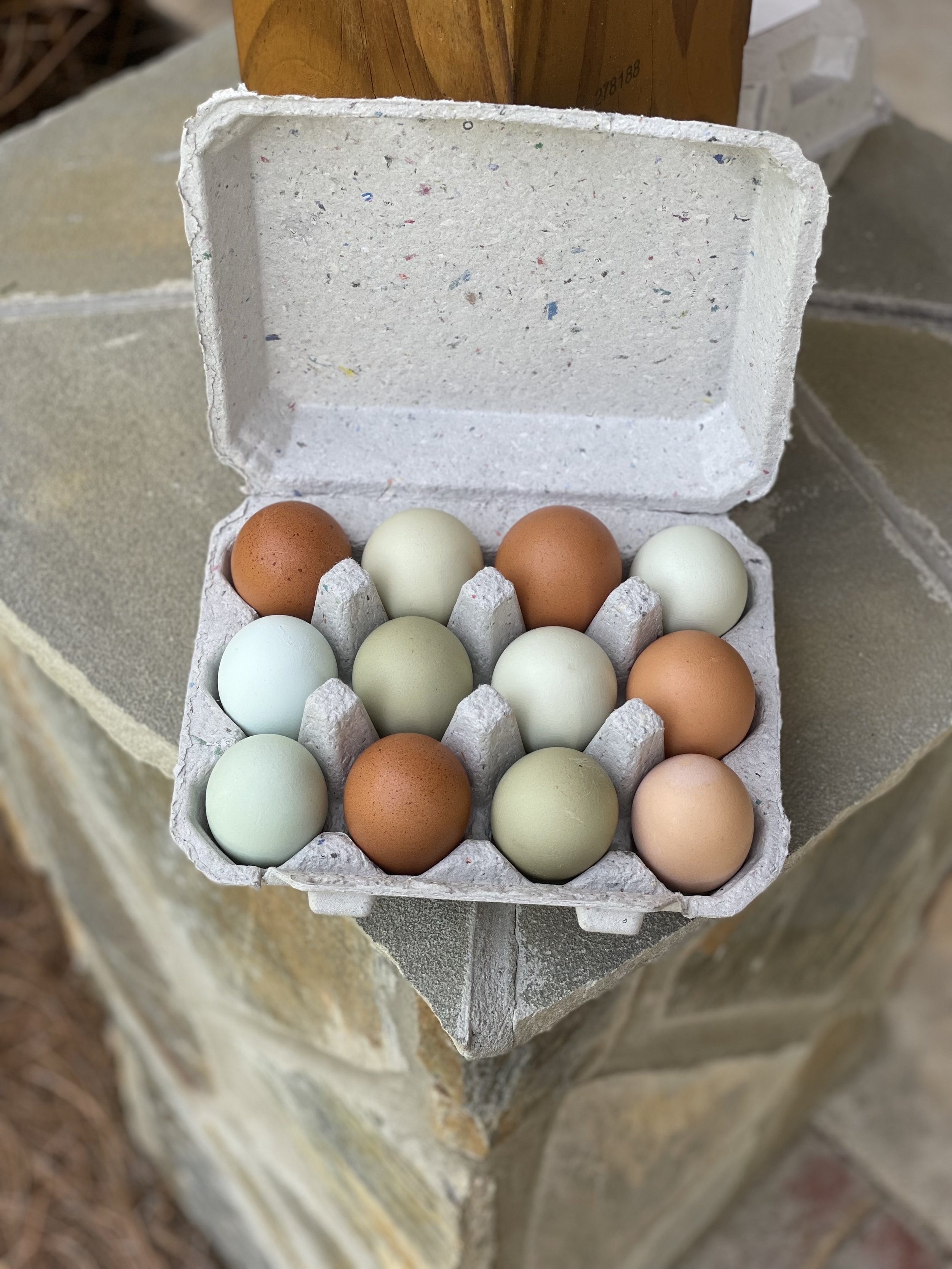 Colorful eggs .jpg