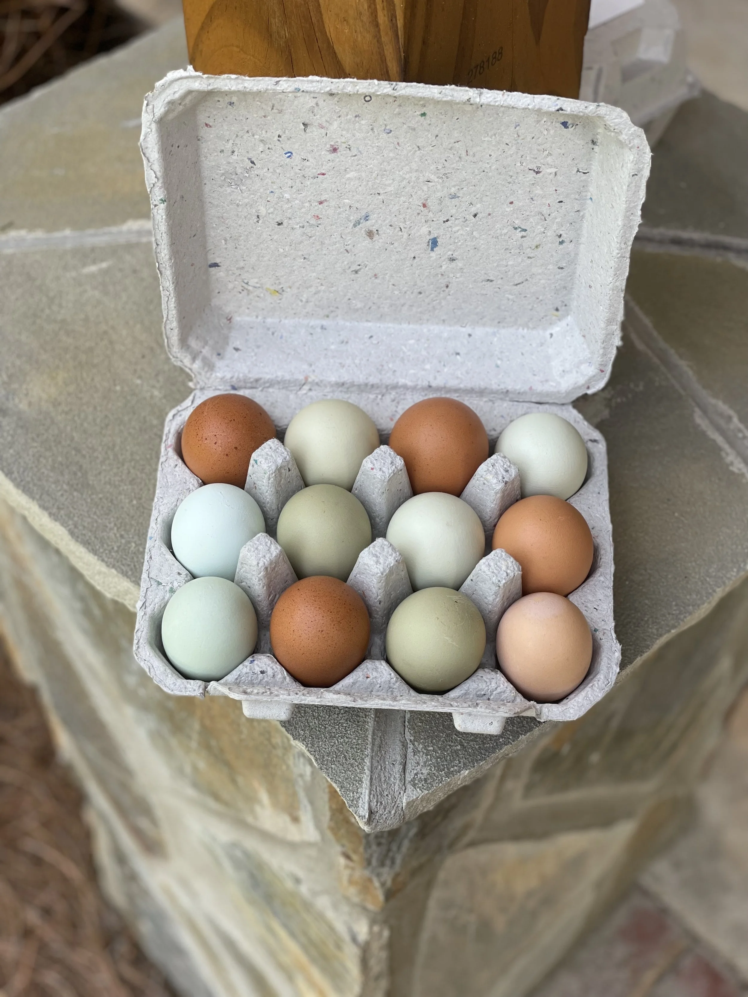Dozen Eggs