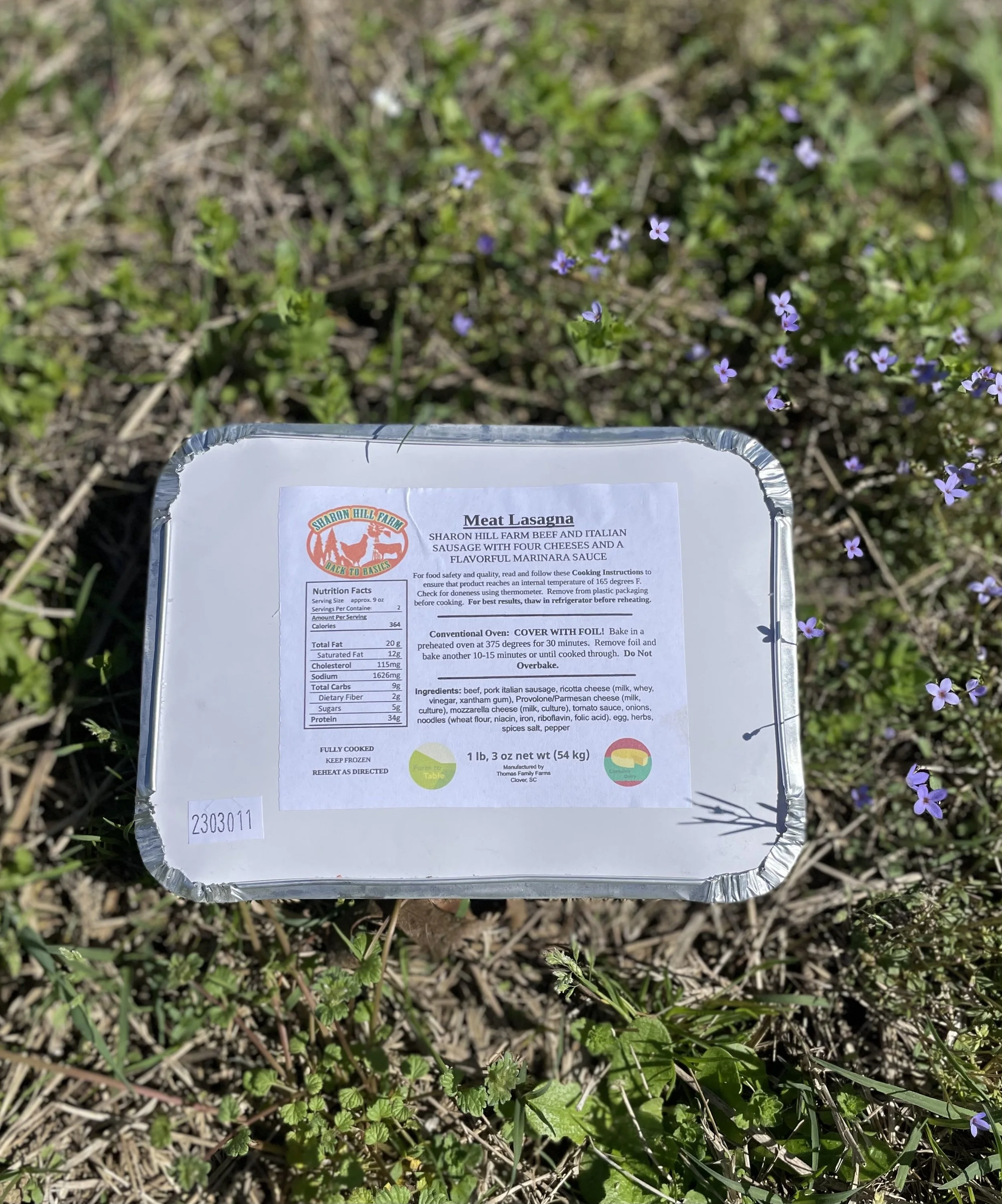 Meat Lasagna (Serves 2)