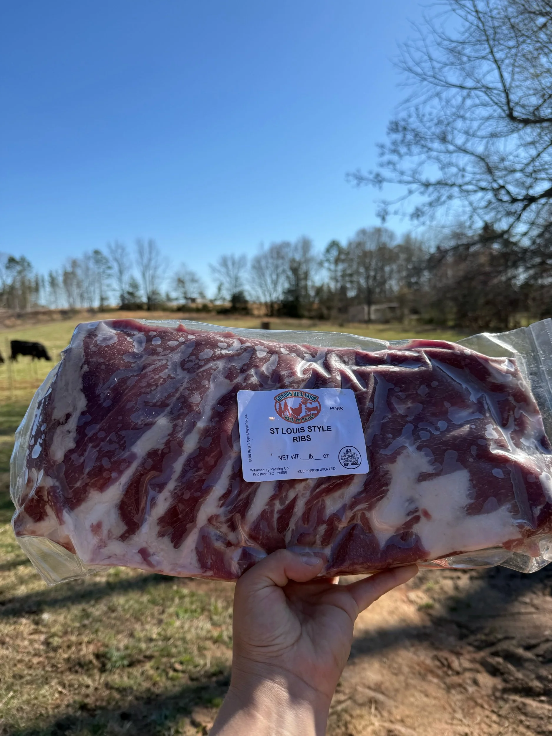 Pork Ribs Approx. 3-4lbs