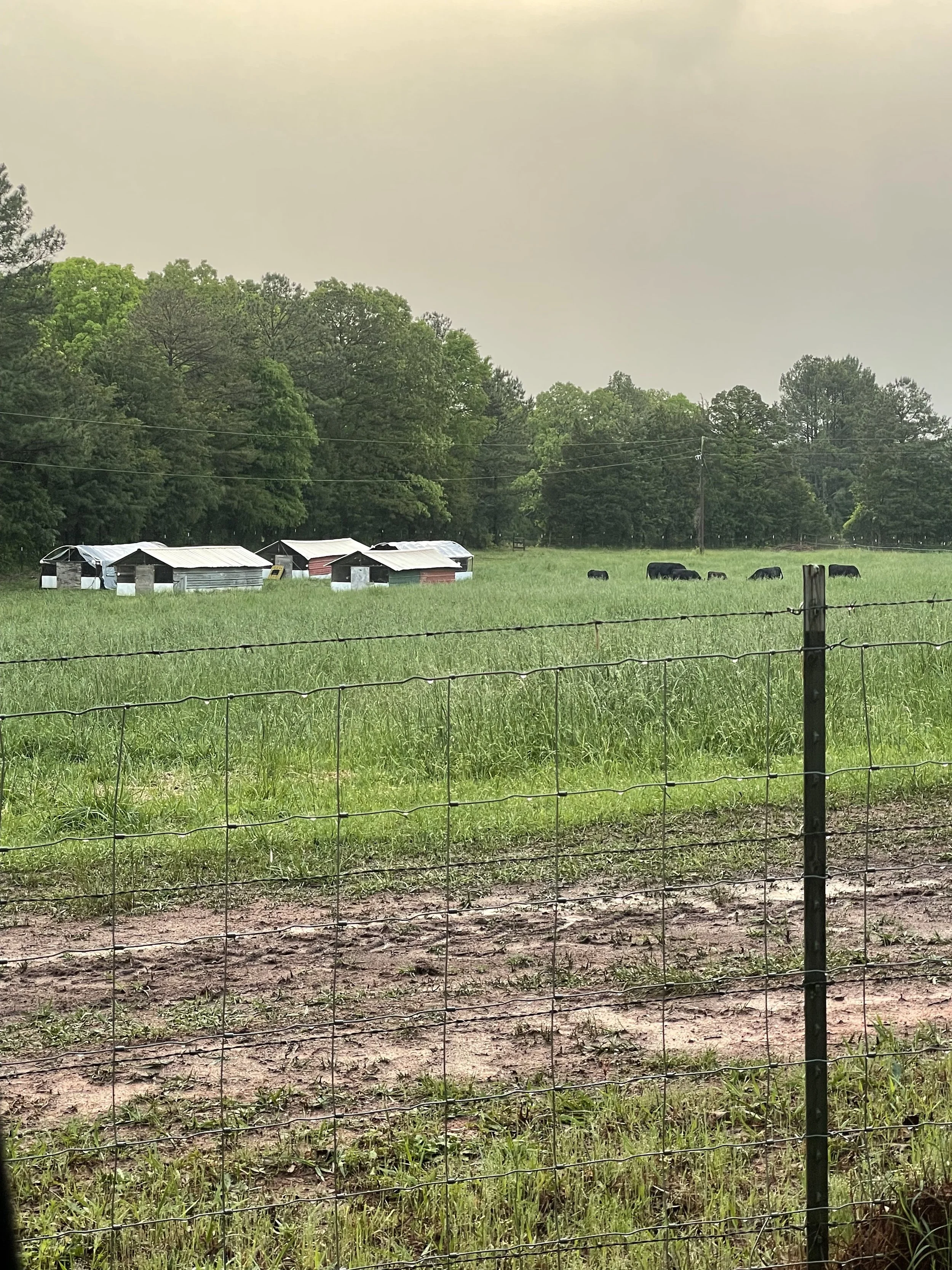 farm pic.jpeg