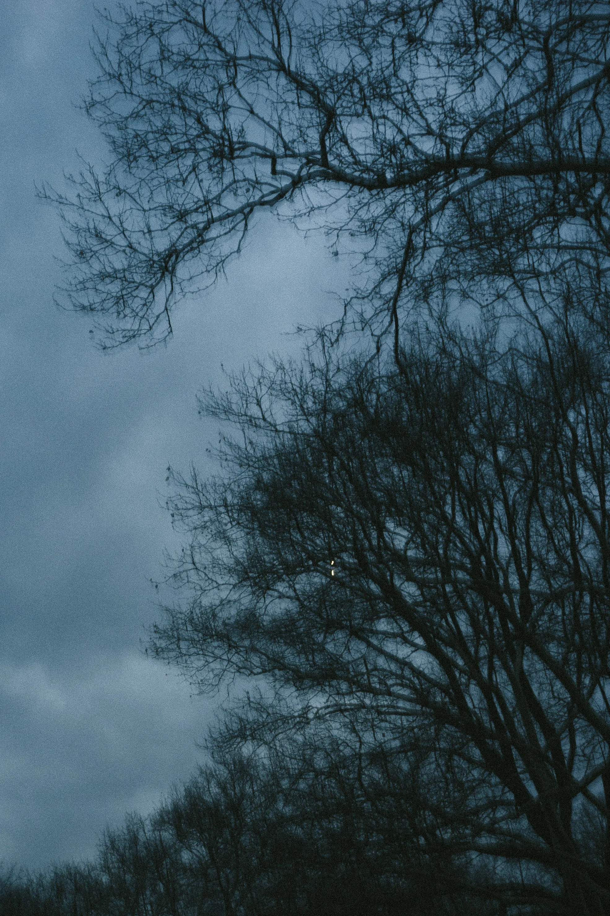DSCF9146.jpg