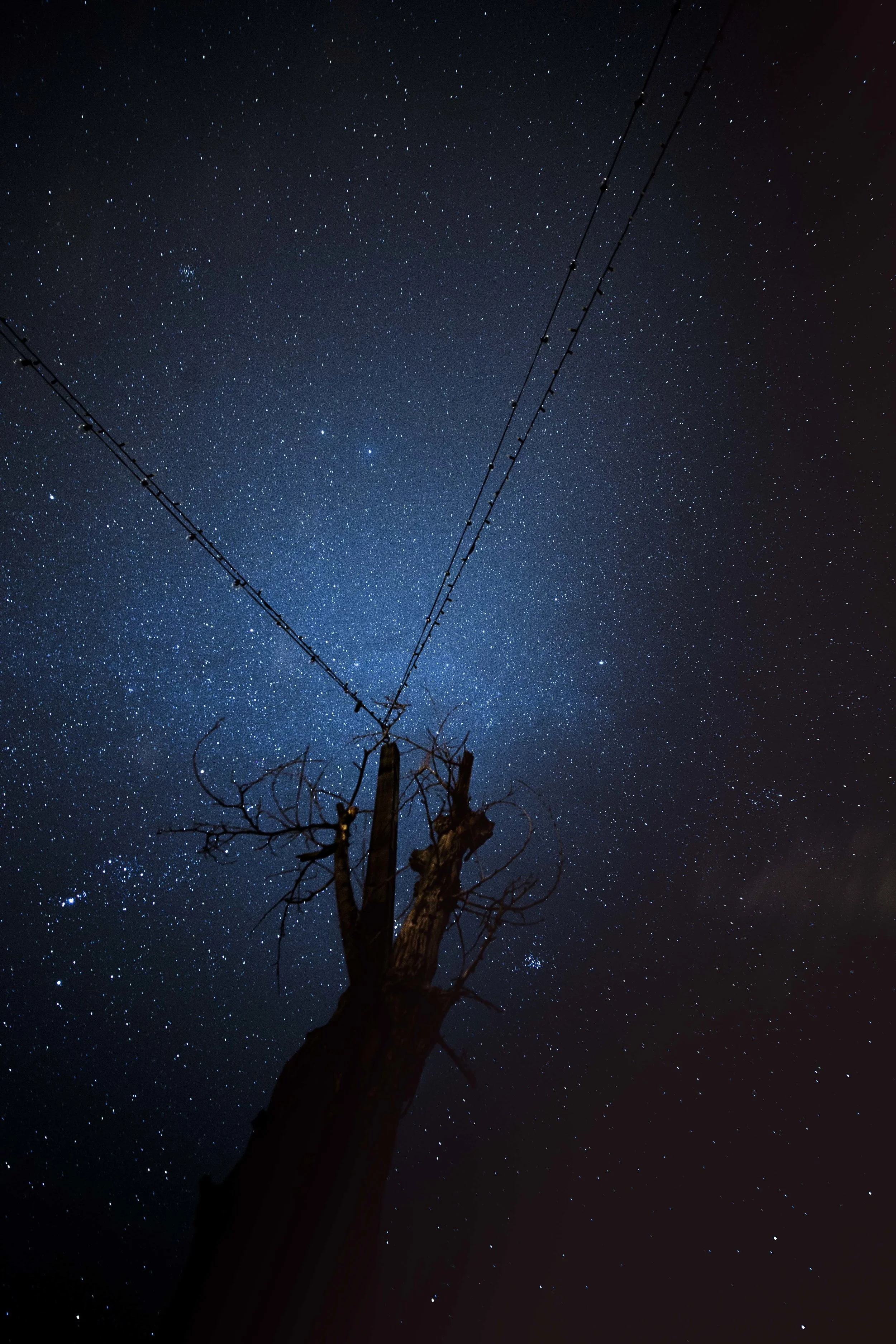 quick color_IMG_2422.JPG