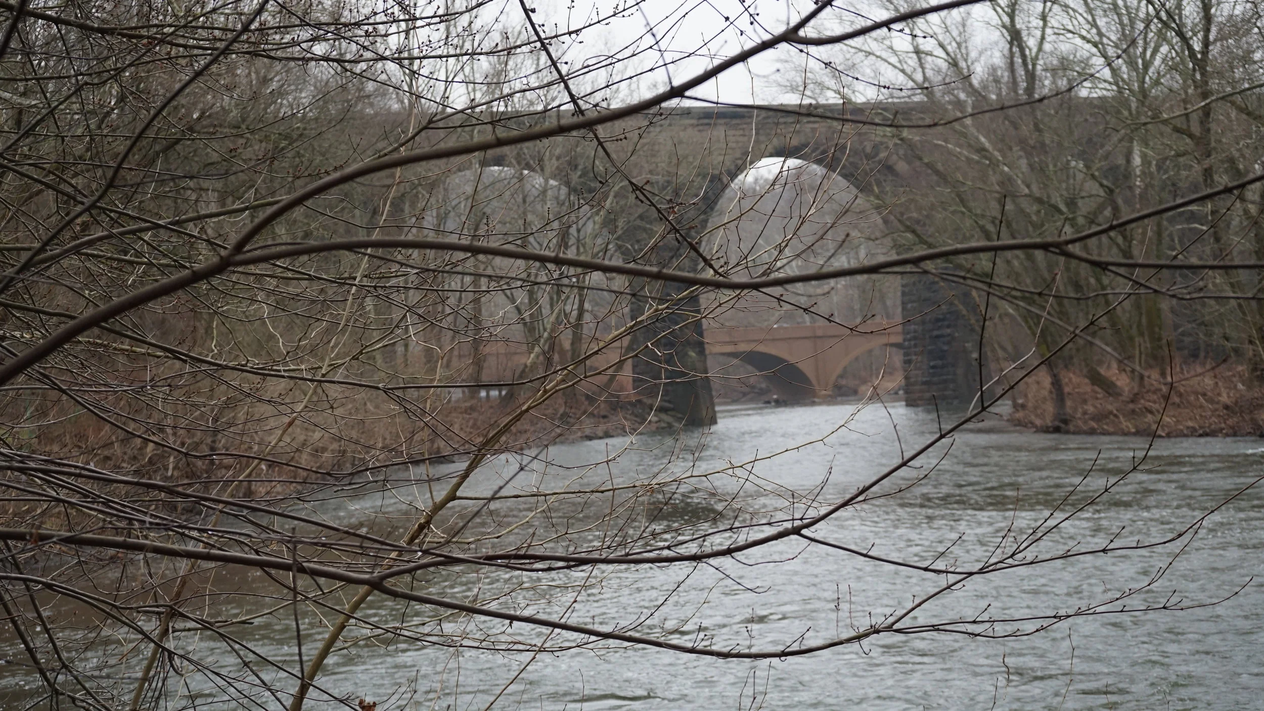 IMG_2512.jpeg