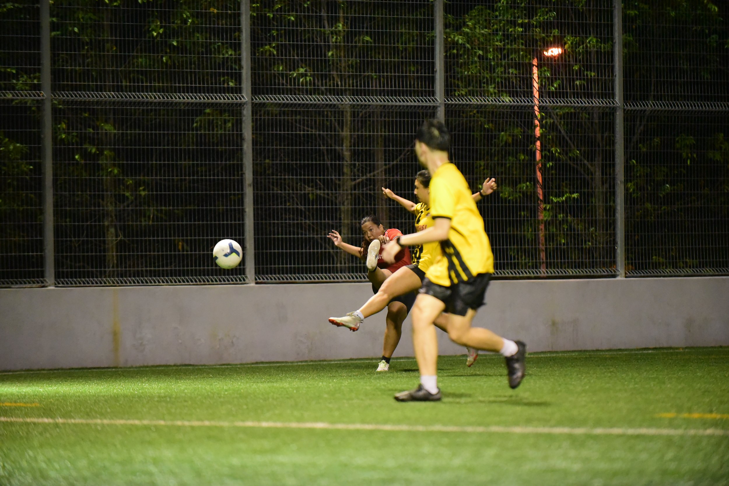 DSC_3900.JPG
