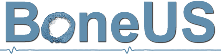 BoneUltrasound