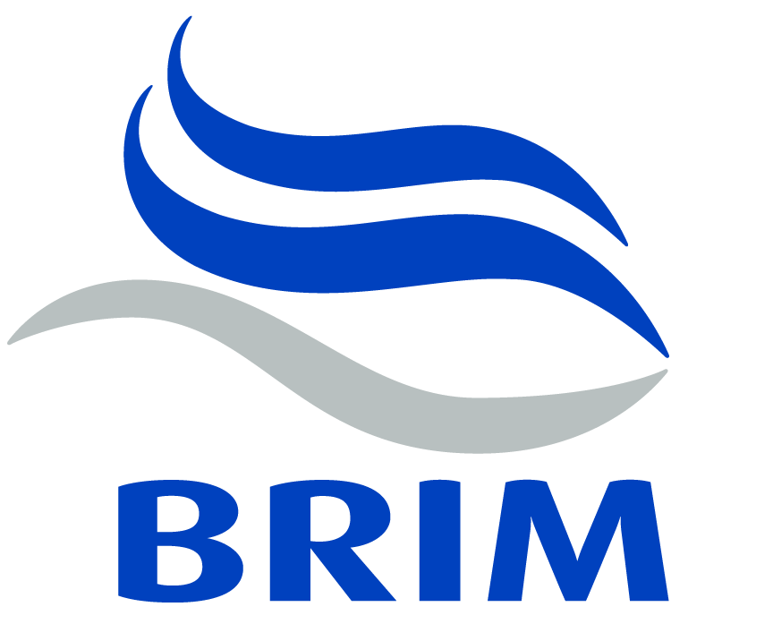 Brim