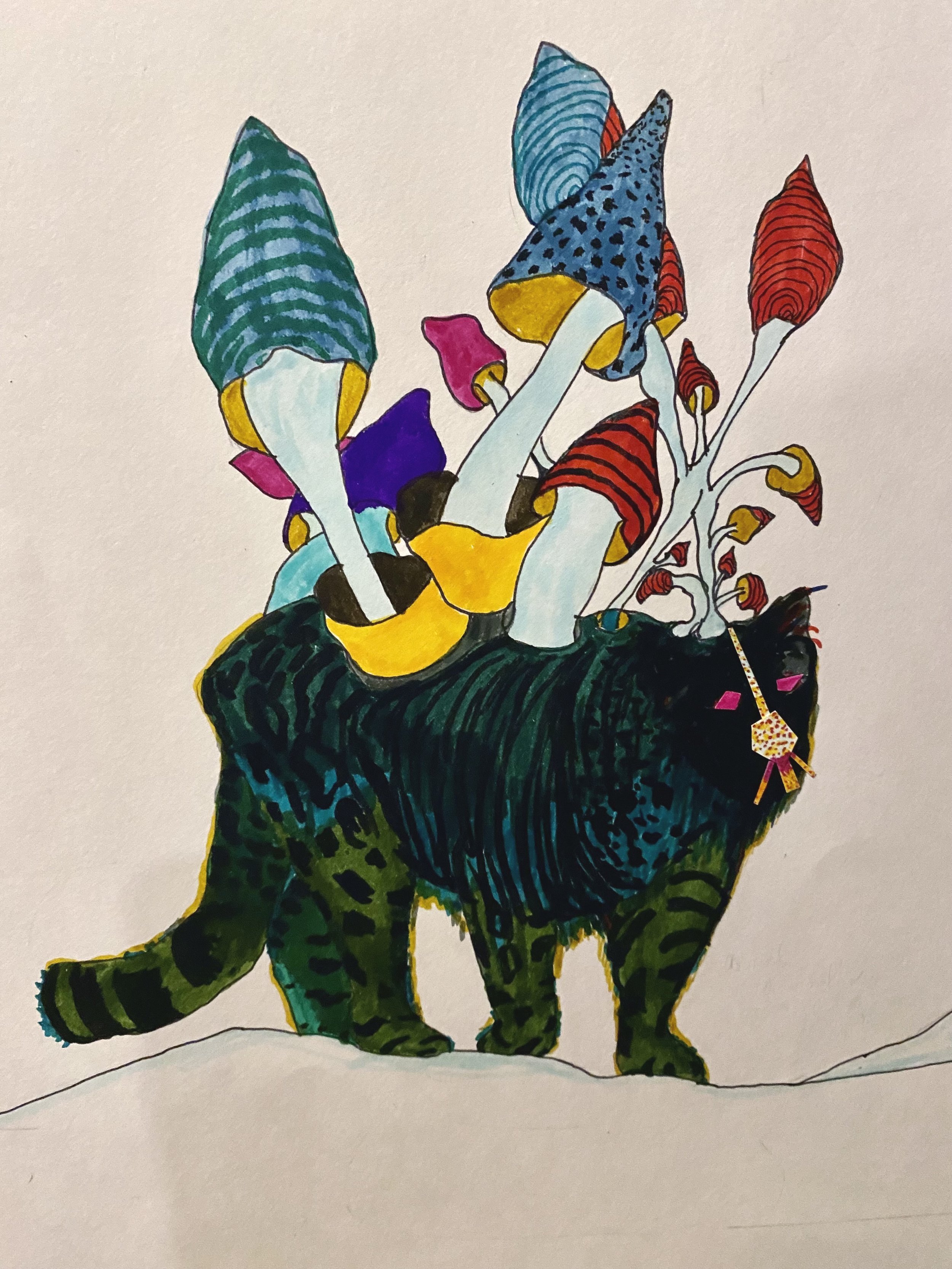 Mushroom and jaguar (Copy)