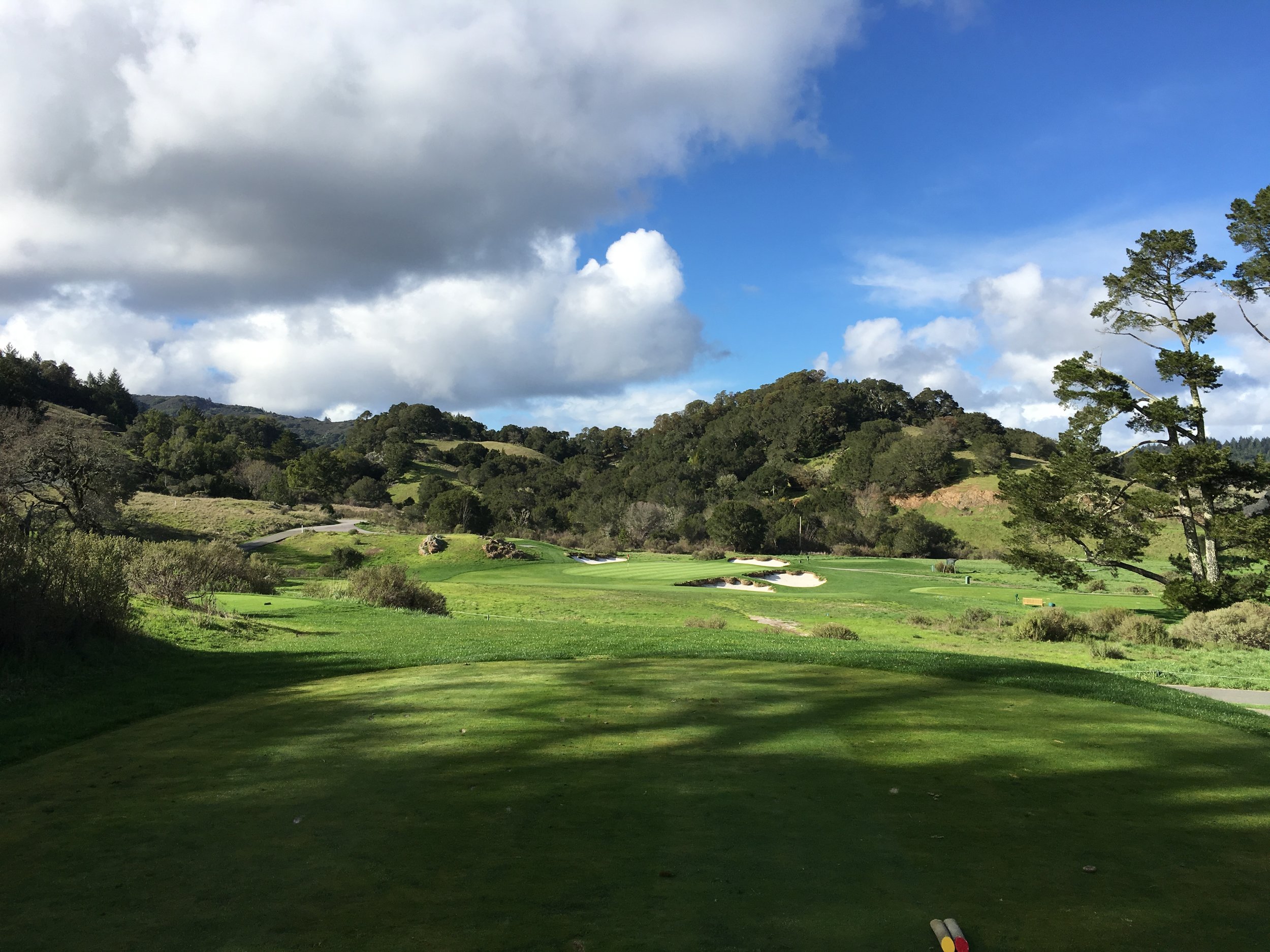 Meadow Club